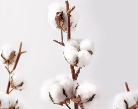 Non-medical cotton masks wholesale customized masks