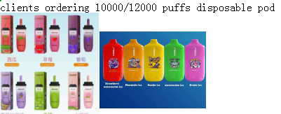 10000puffs disposable pod