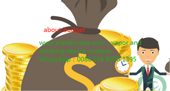 Understanding of budget